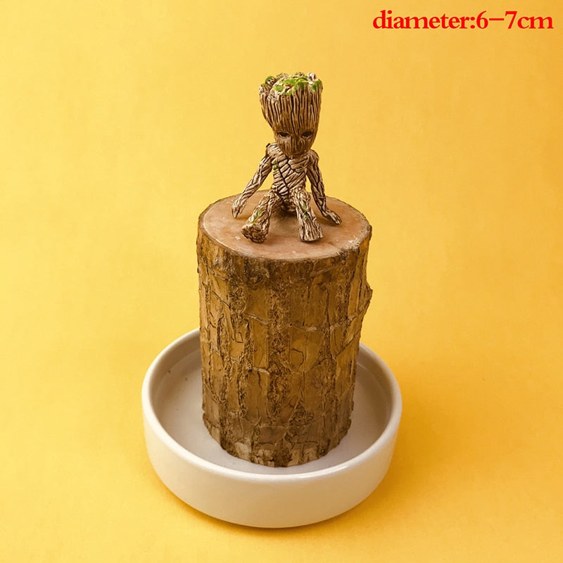 Brazilian Wood Water Lucky Wood Hydroponic Four Seasons Plants