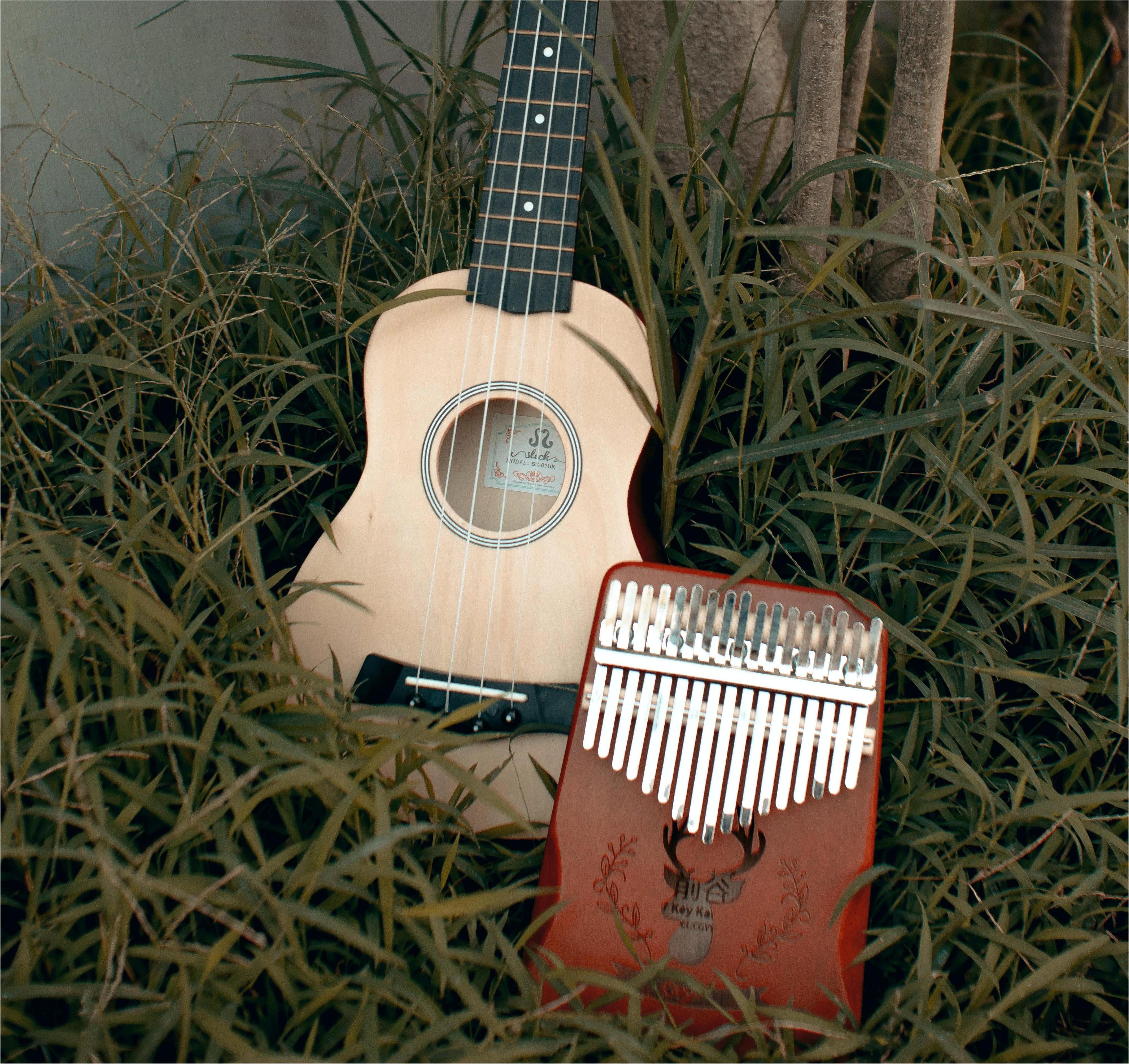 The Kalimba: Unlocking the Musical Enchantment of the Thumb Piano
